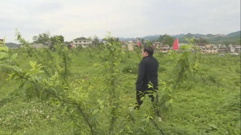 微信圖片_20210507093911.jpg